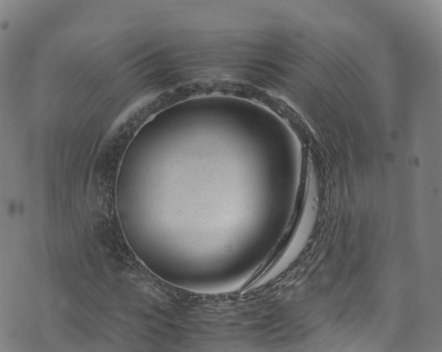 X0000072500919200607211245