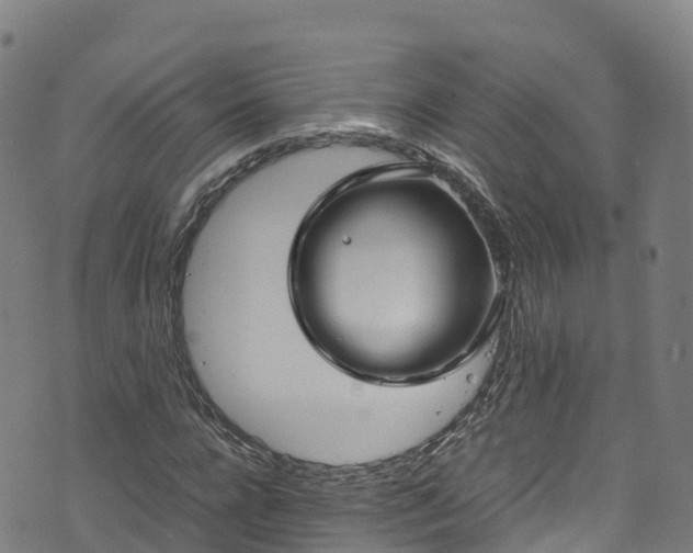 X0000072500920200607211245