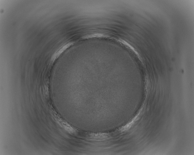 X0000072500921200607211245