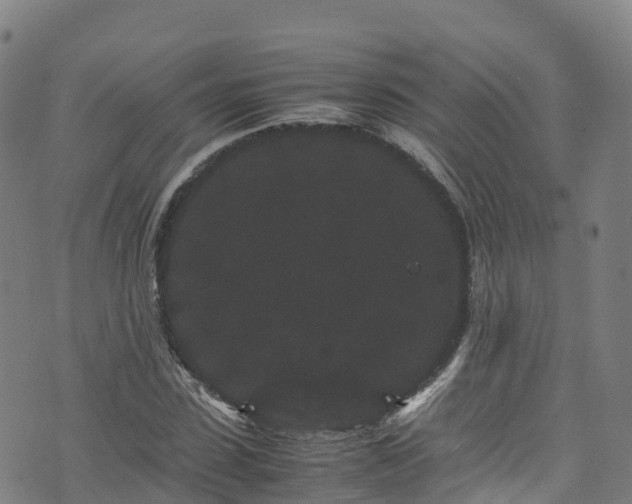 X0000072500923200607211245