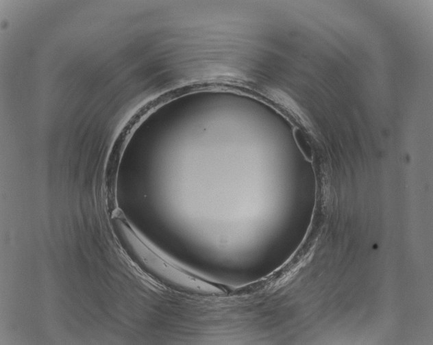 X0000072500924200607211245