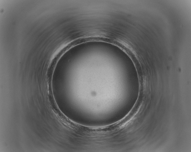 X0000072500925200607211245