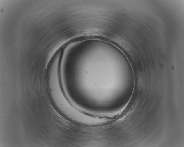 X0000072500926200607211245