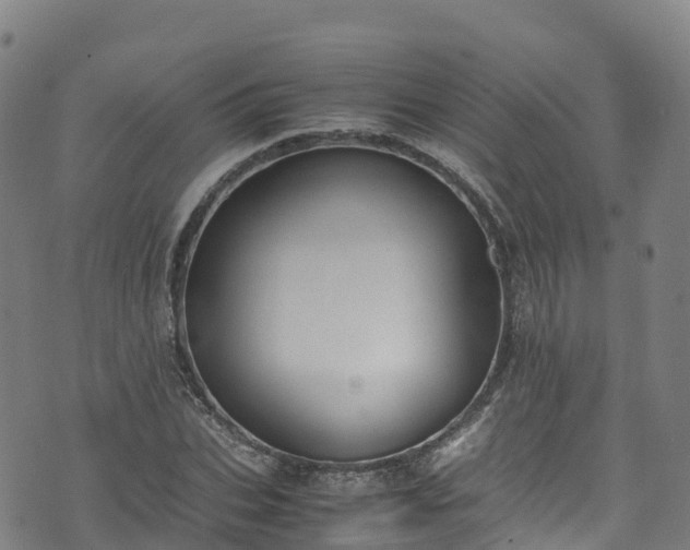 X0000072500927200607211245