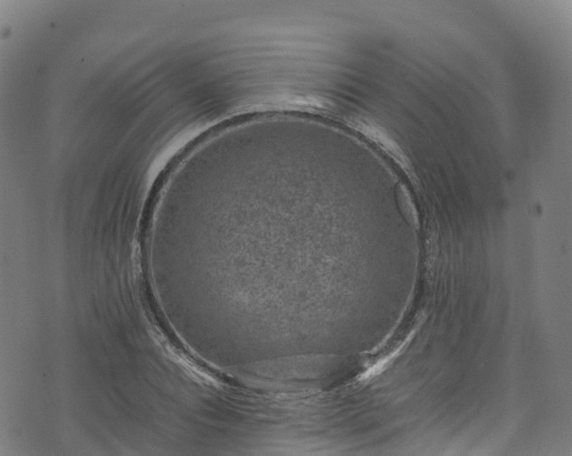 X0000072500928200607211245