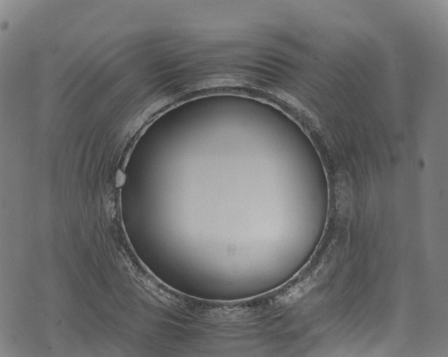 X0000072500929200607211246