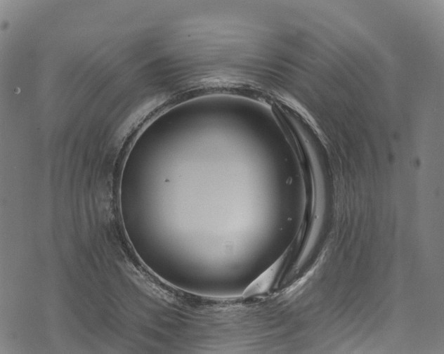 X0000072500930200607211246