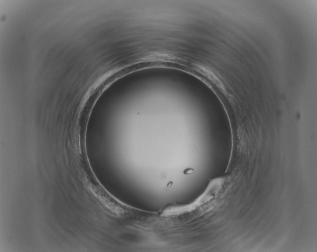 X0000072500931200607211246