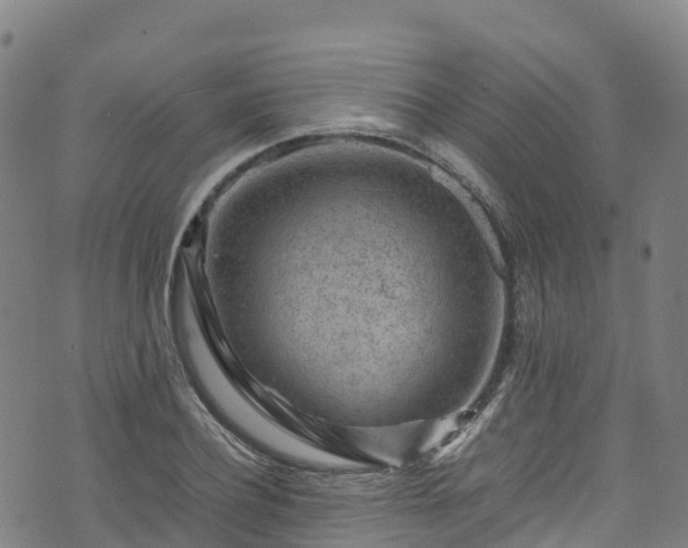 X0000072500932200607211246