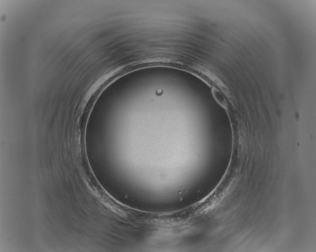 X0000072500933200607211246