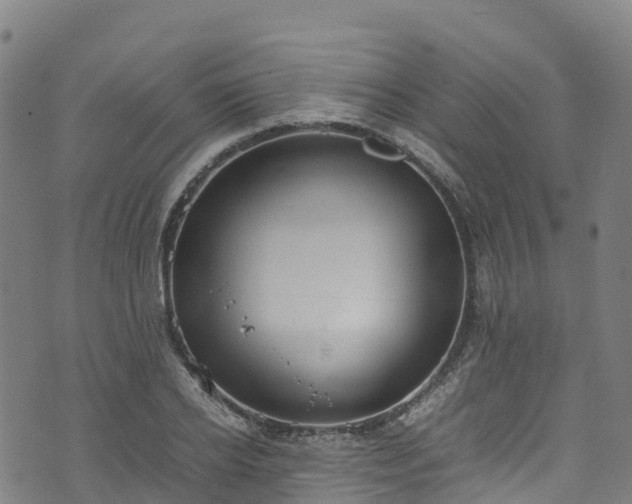 X0000072500934200607211246