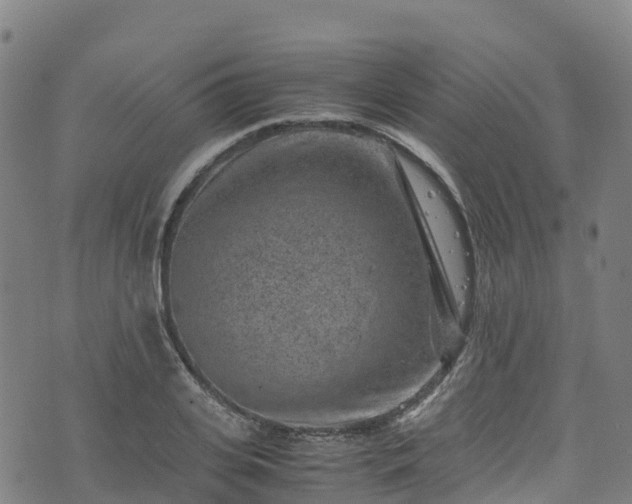 X0000072500935200607211246