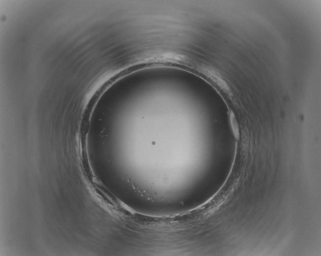 X0000072500936200607211246