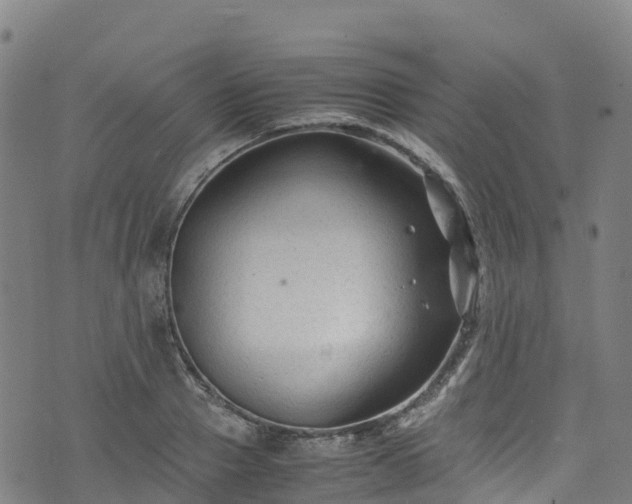 X0000072500937200607211246