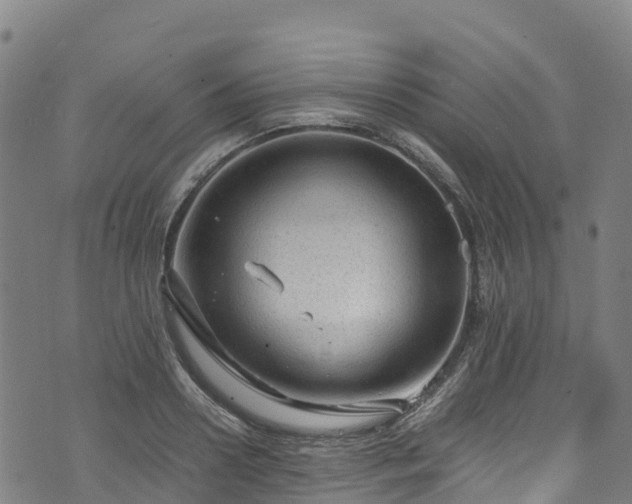 X0000072500938200607211246