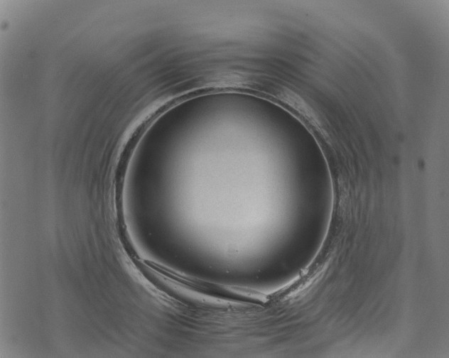 X0000072500939200607211246