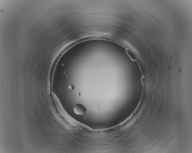 X0000072500940200607211246