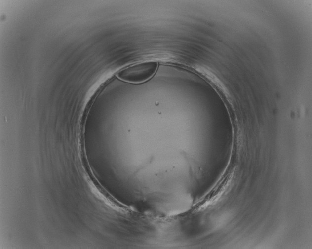 X0000072500941200607211246