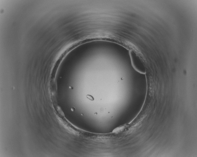 X0000072500942200607211246