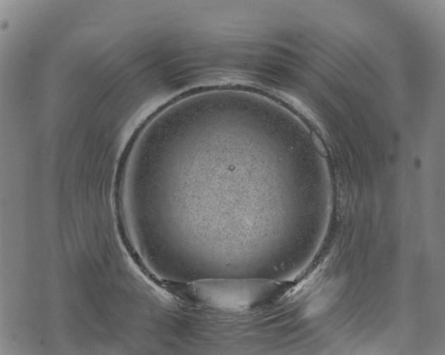 X0000072500943200607211246