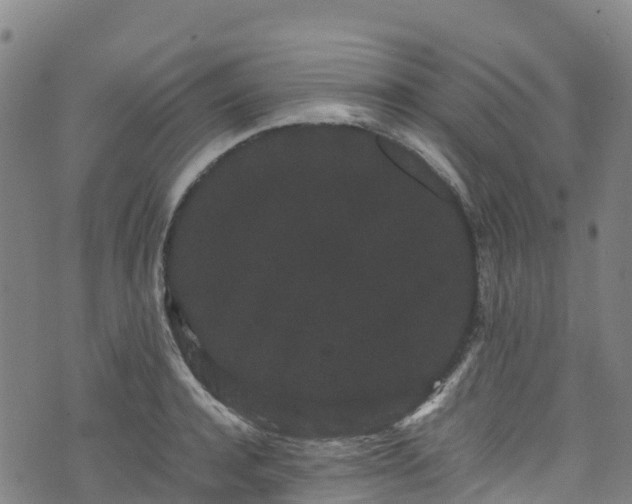 X0000072500944200607211246