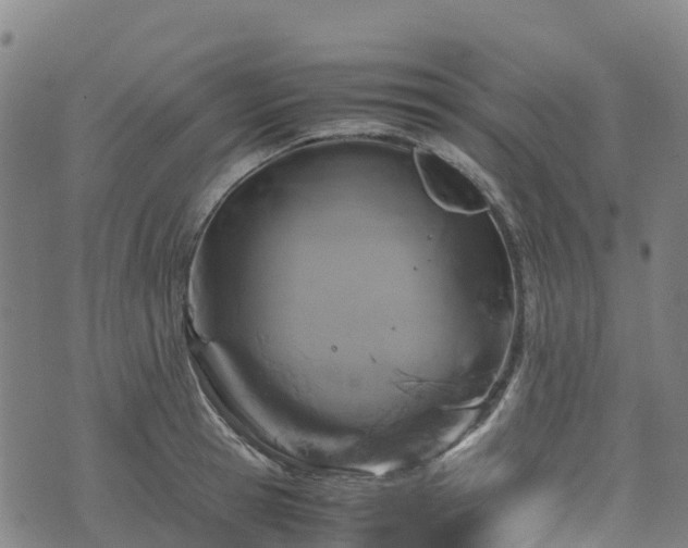 X0000072500945200607211246