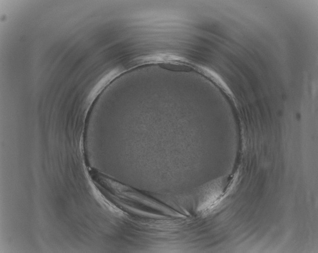 X0000072500946200607211246