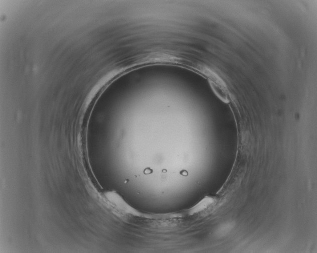 X0000072500947200607211246