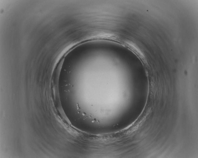 X0000072500948200607211246