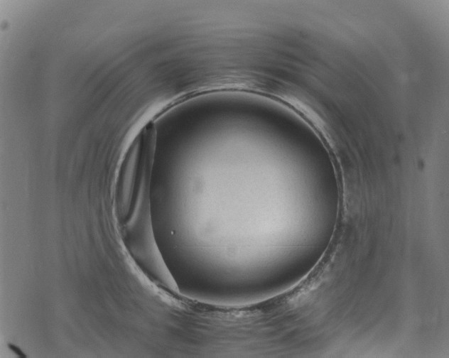 X0000072500949200607211246