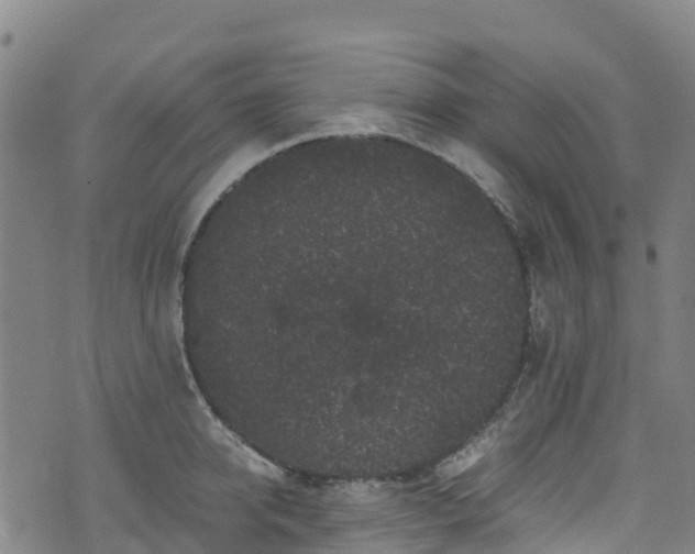 X0000072500950200607211246