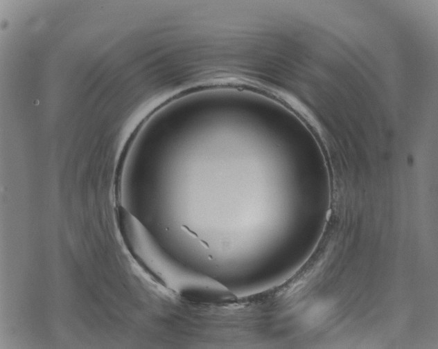 X0000072500951200607211246