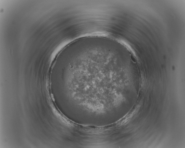 X0000072500952200607211246