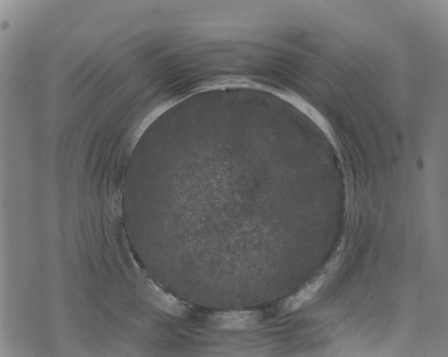 X0000072500953200607211246