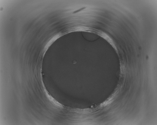 X0000072500954200607211246