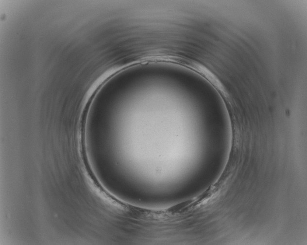 X0000072500955200607211246