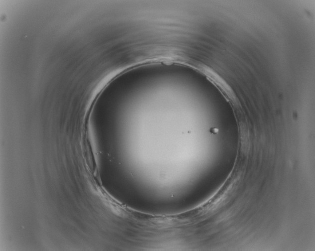 X0000072500956200607211246