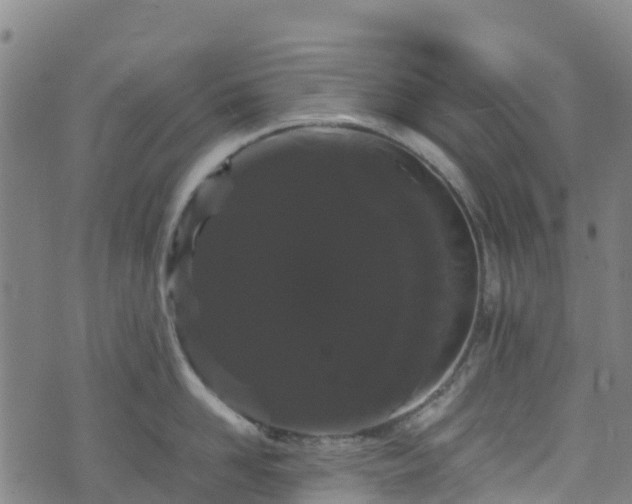 X0000072500958200607211246