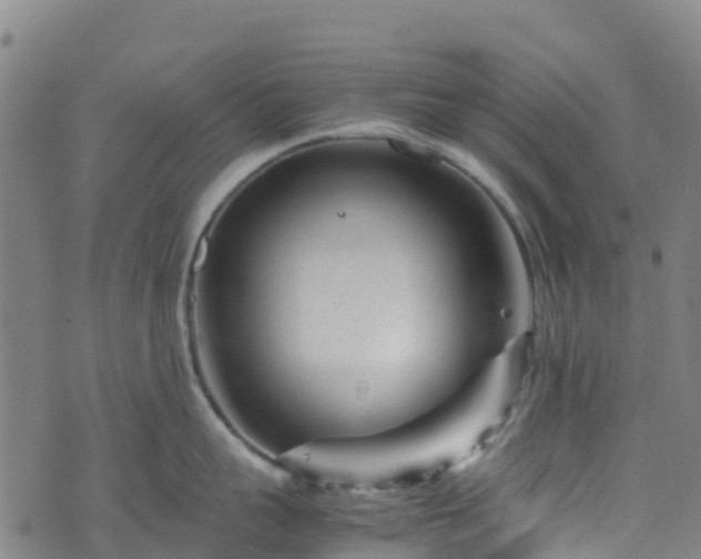 X0000072500959200607211246