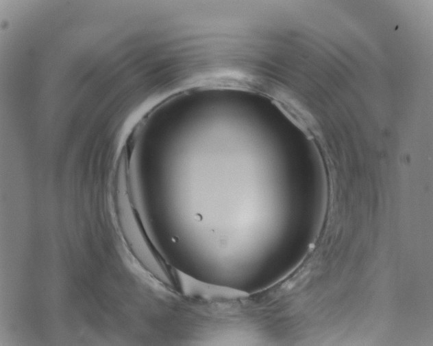 X0000072500960200607211246