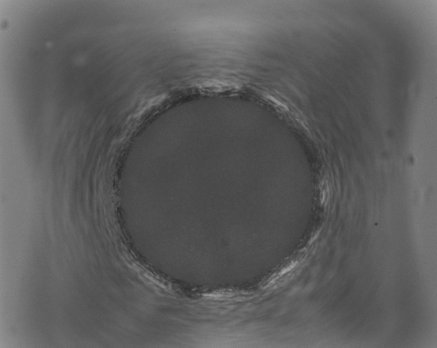 X0000072500961200607211245