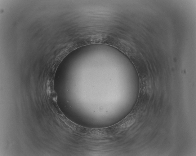 X0000072500962200607211245