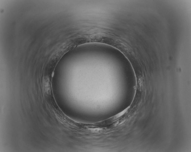 X0000072500963200607211245