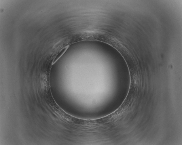 X0000072500964200607211245