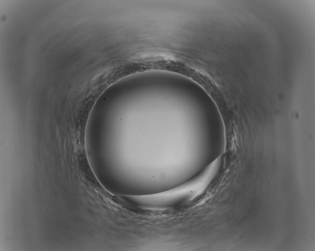 X0000072500965200607211245