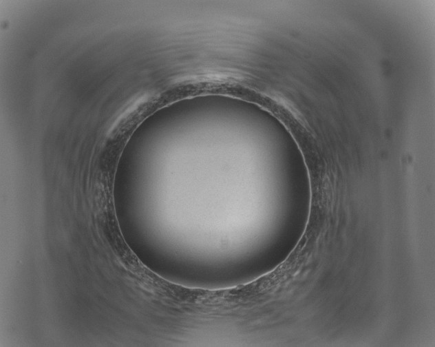 X0000072500967200607211245