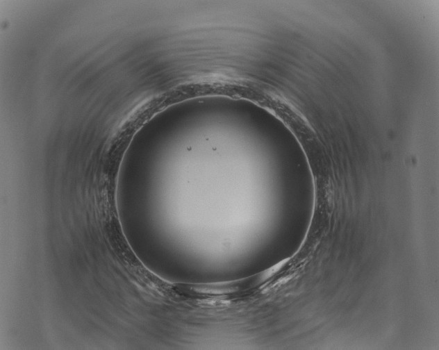 X0000072500968200607211245