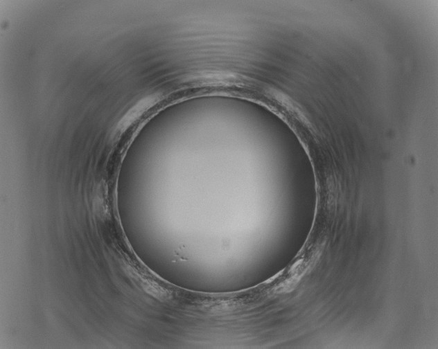 X0000072500970200607211245