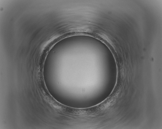 X0000072500971200607211245