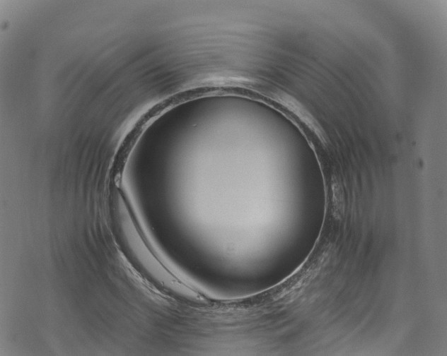 X0000072500972200607211245